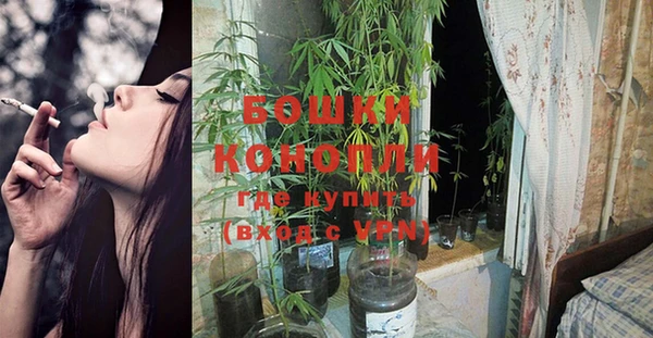 гашик Дмитровск