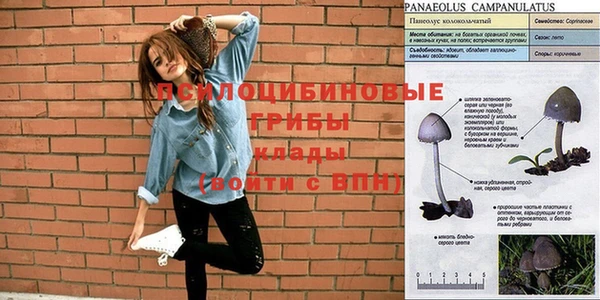 альфа пвп VHQ Дмитриев