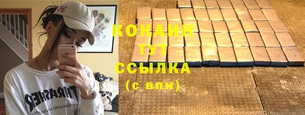 гашик Дмитровск