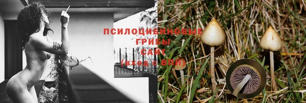 гидропоника Дмитров