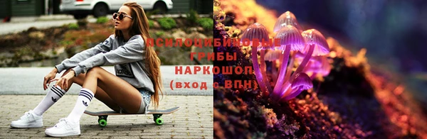 гидропоника Дмитров