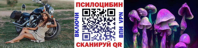Купить закладки  Инсар  Галлюциногенные грибы GOLDEN TEACHER 