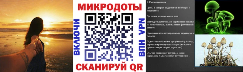 Галлюциногенные грибы Psilocybine cubensis Инсар